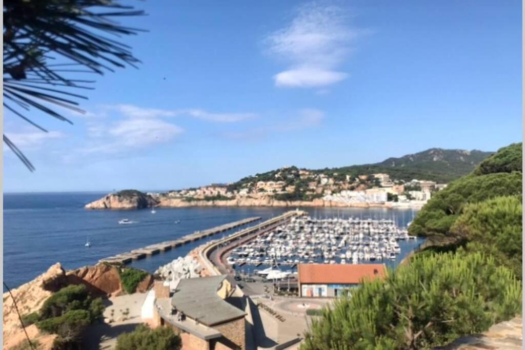 Nuevo Apartamento Moderno Elisa - A 80 Metros De La Playa Para 5 Personas Sant Feliu de Guíxols Dış mekan fotoğraf